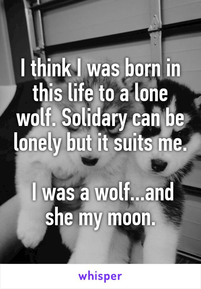 I think I was born in this life to a lone wolf. Solidary can be lonely but it suits me.

 I was a wolf...and she my moon.