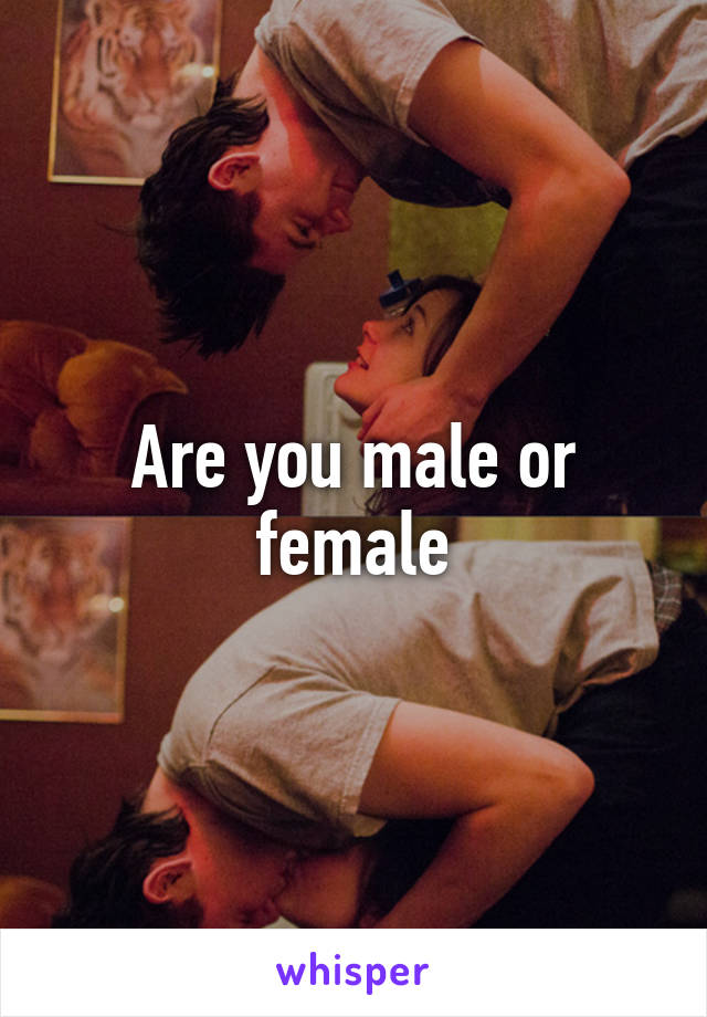 Are you male or female