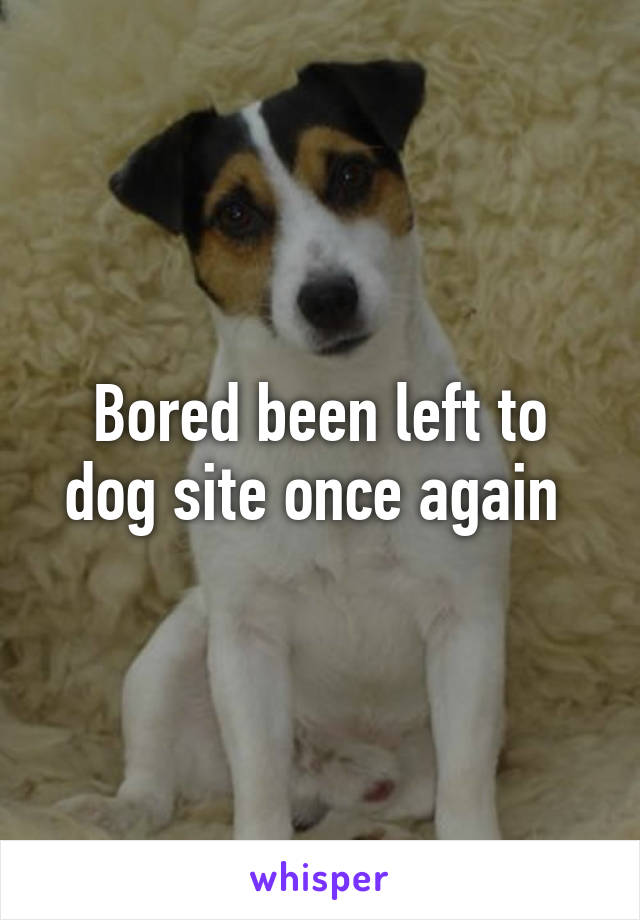 Bored been left to dog site once again 