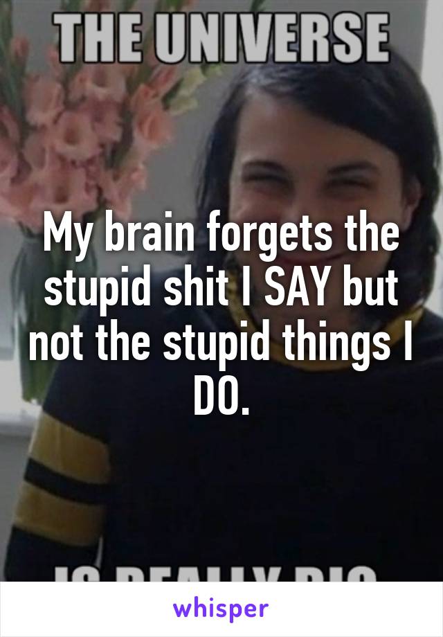My brain forgets the stupid shit I SAY but not the stupid things I DO.