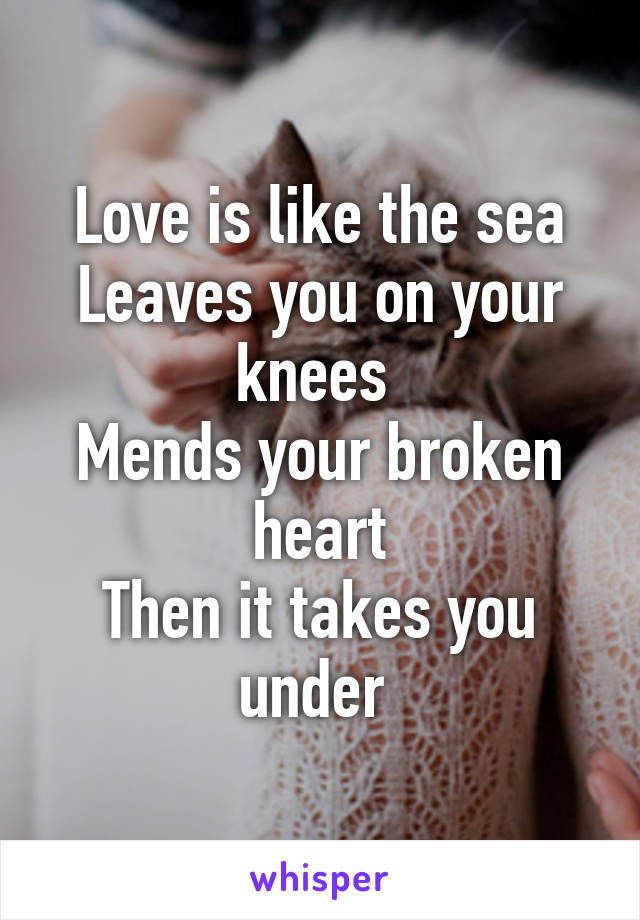 Love is like the sea
Leaves you on your knees 
Mends your broken heart
Then it takes you under 