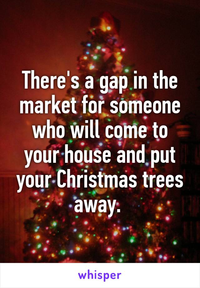 There's a gap in the market for someone who will come to your house and put your Christmas trees away. 