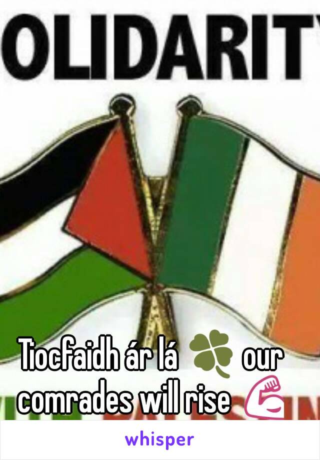 Tiocfaidh ár lá 🍀 our comrades will rise 💪