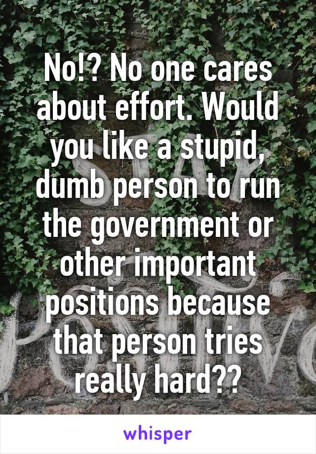 No!? No one cares about effort. Would you like a stupid, dumb person to run the government or other important positions because that person tries really hard??