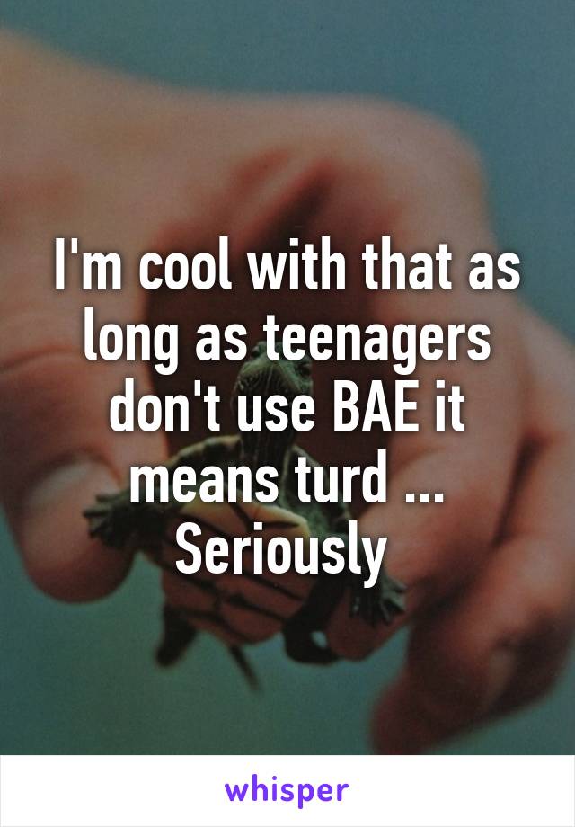 I'm cool with that as long as teenagers don't use BAE it means turd ... Seriously 