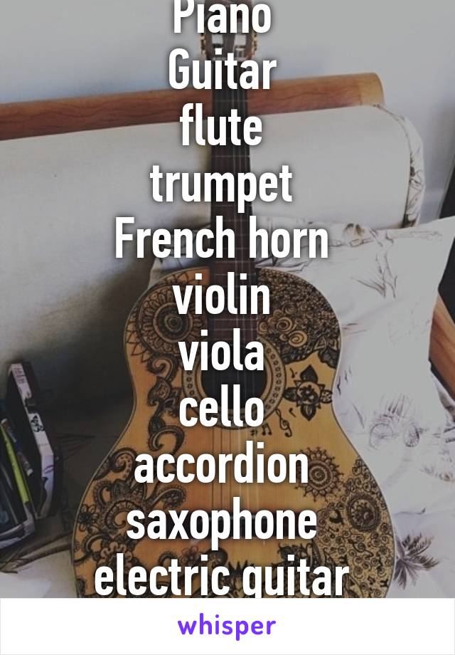 Piano 
Guitar 
flute 
trumpet 
French horn 
violin 
viola 
cello 
accordion 
saxophone 
electric guitar 
clarinet