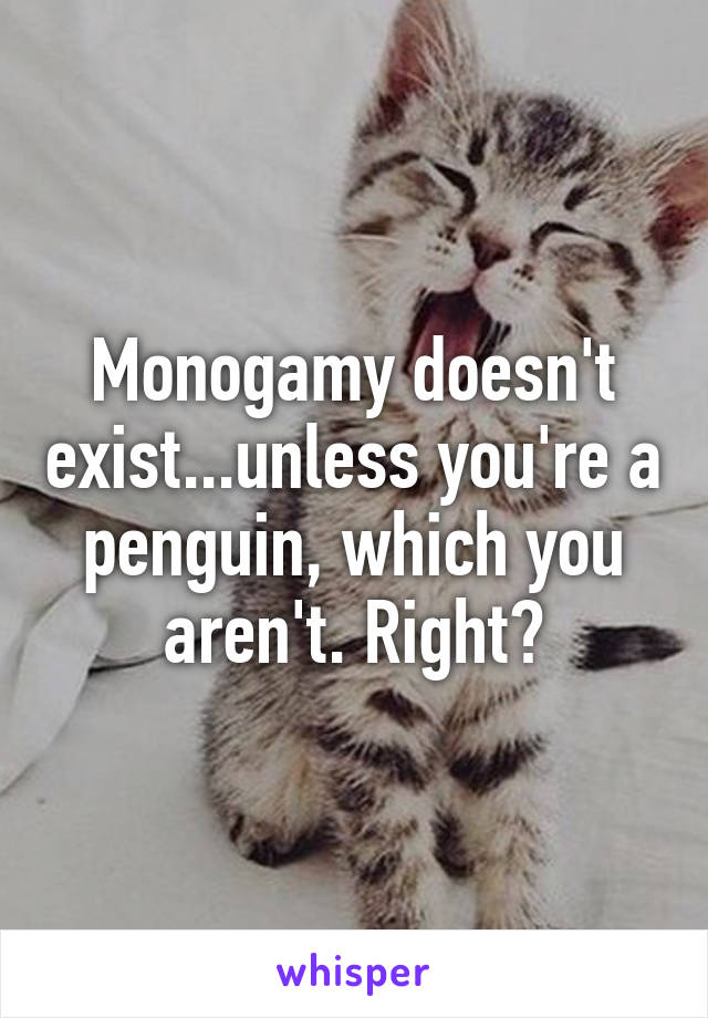 Monogamy doesn't exist...unless you're a penguin, which you aren't. Right?