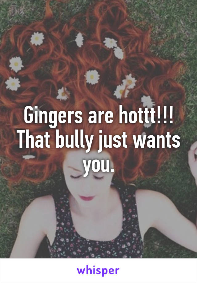 Gingers are hottt!!! That bully just wants you.