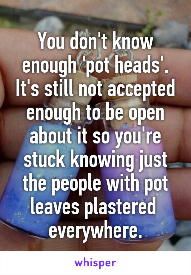 You don't know enough 'pot heads'. It's still not accepted enough to be open about it so you're stuck knowing just the people with pot leaves plastered  everywhere.
