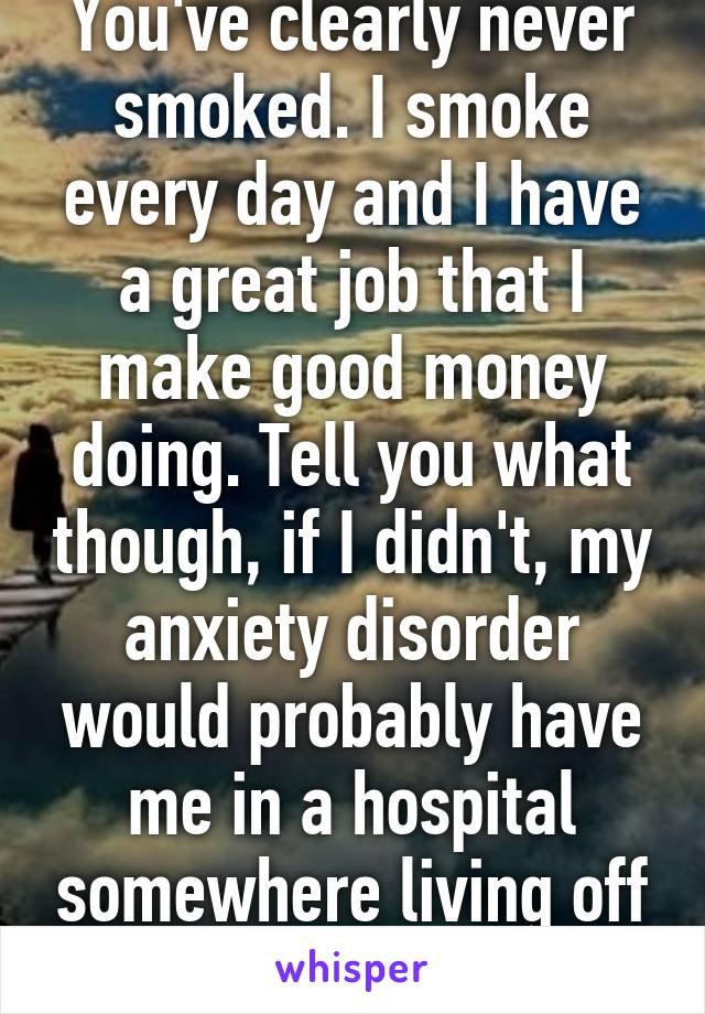 You've clearly never smoked. I smoke every day and I have a great job that I make good money doing. Tell you what though, if I didn't, my anxiety disorder would probably have me in a hospital somewhere living off the government. 
