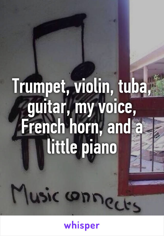 Trumpet, violin, tuba, guitar, my voice, French horn, and a little piano