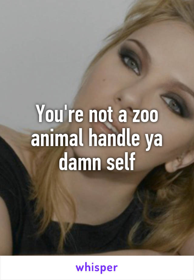 You're not a zoo animal handle ya damn self