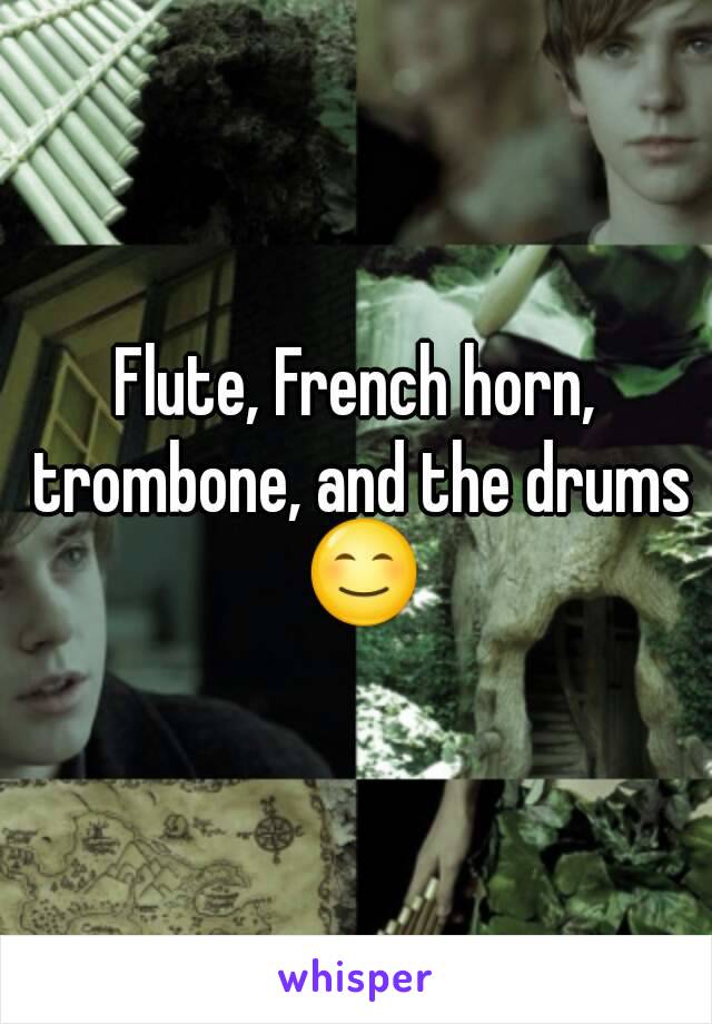 Flute, French horn, trombone, and the drums 😊