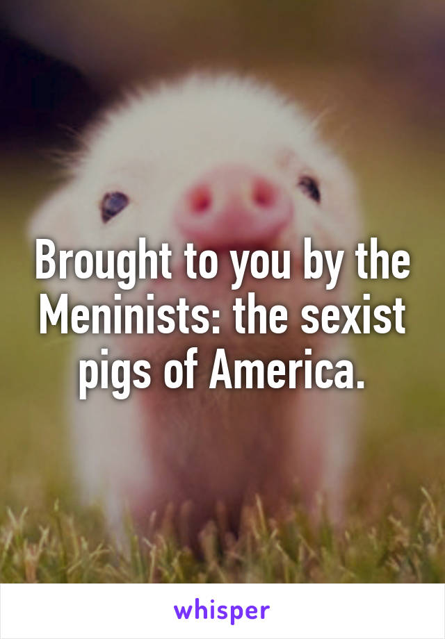 Brought to you by the Meninists: the sexist pigs of America.