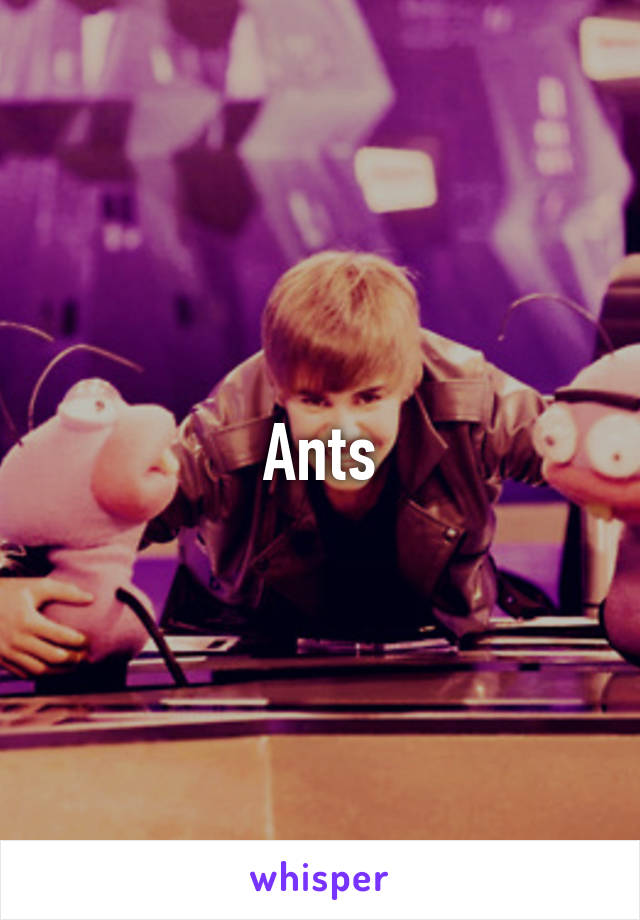 Ants