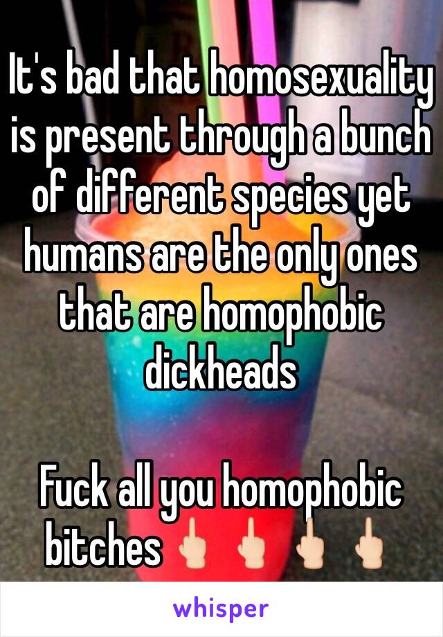 It's bad that homosexuality is present through a bunch of different species yet humans are the only ones that are homophobic dickheads

Fuck all you homophobic bitches🖕🏻🖕🏻🖕🏻🖕🏻