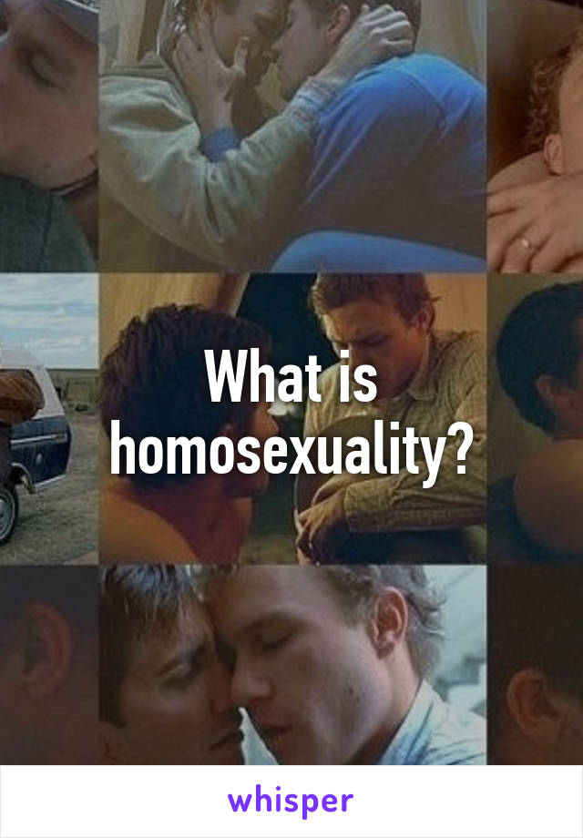 What is homosexuality?