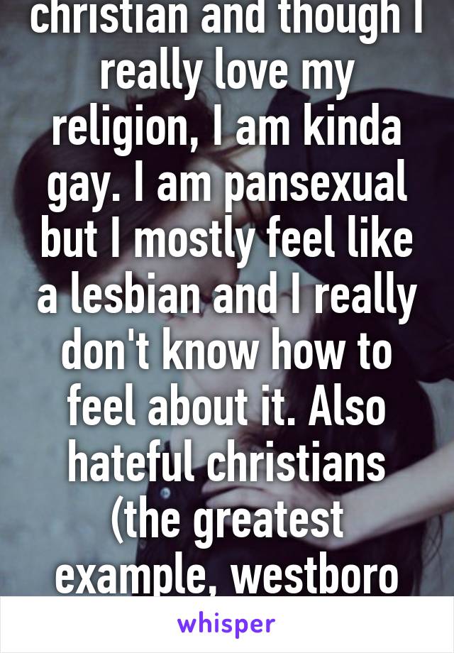 Im a converted christian and though I really love my religion, I am kinda gay. I am pansexual but I mostly feel like a lesbian and I really don't know how to feel about it. Also hateful christians (the greatest example, westboro baptist) make me sick -and sad-.