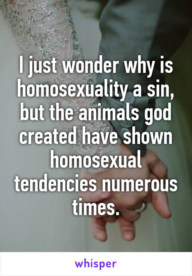 I just wonder why is homosexuality a sin, but the animals god created have shown homosexual tendencies numerous times.