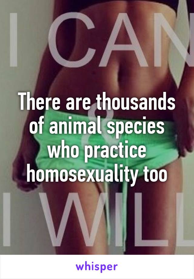 There are thousands of animal species who practice homosexuality too