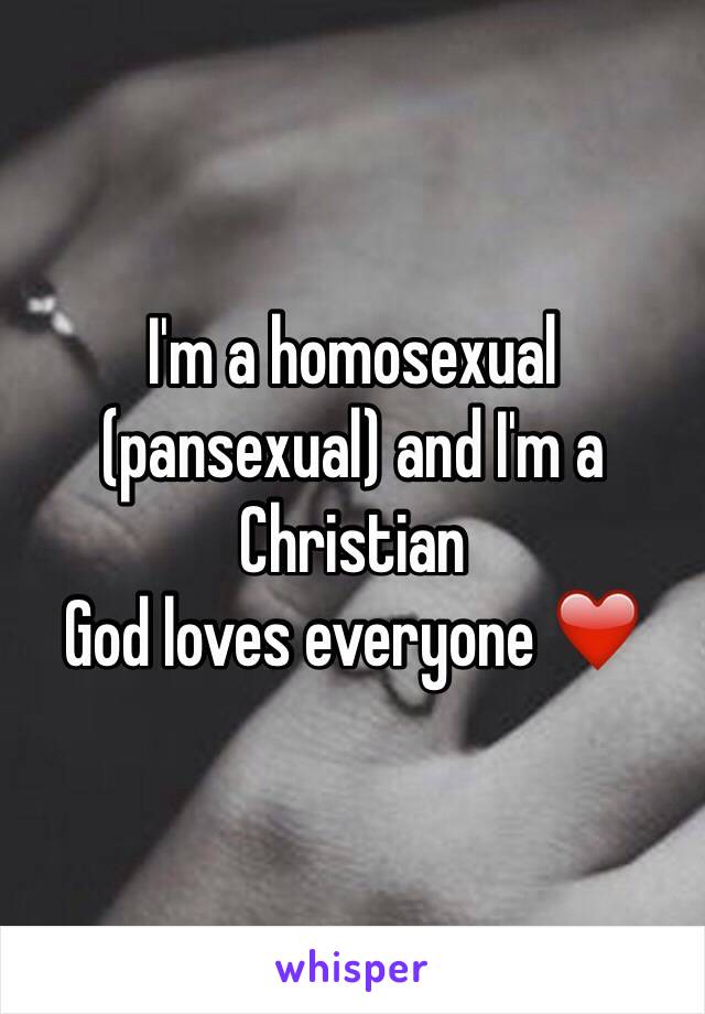 I'm a homosexual (pansexual) and I'm a Christian 
God loves everyone ❤️