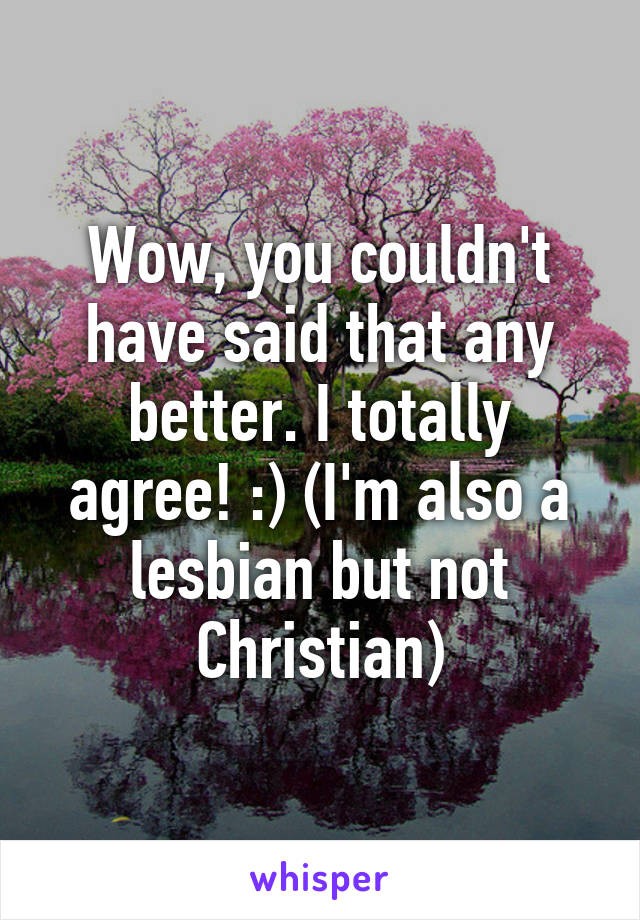 Wow, you couldn't have said that any better. I totally agree! :) (I'm also a lesbian but not Christian)