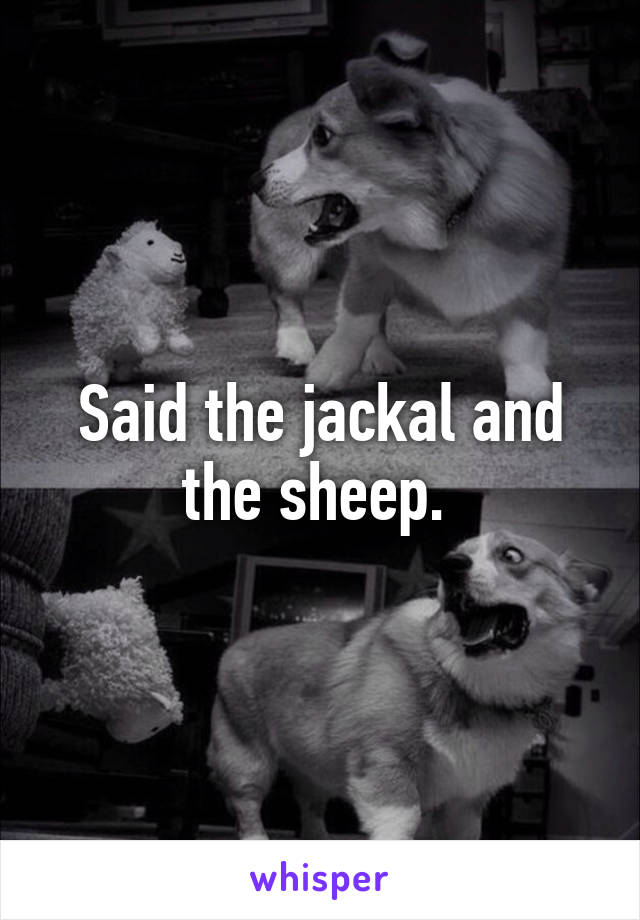 Said the jackal and the sheep. 