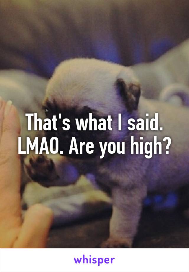 That's what I said. LMAO. Are you high?