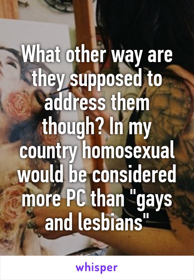 What other way are they supposed to address them though? In my country homosexual would be considered more PC than "gays and lesbians"