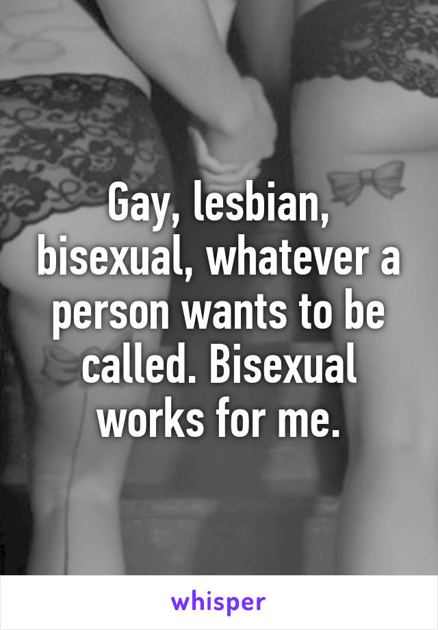 Gay, lesbian, bisexual, whatever a person wants to be called. Bisexual works for me.