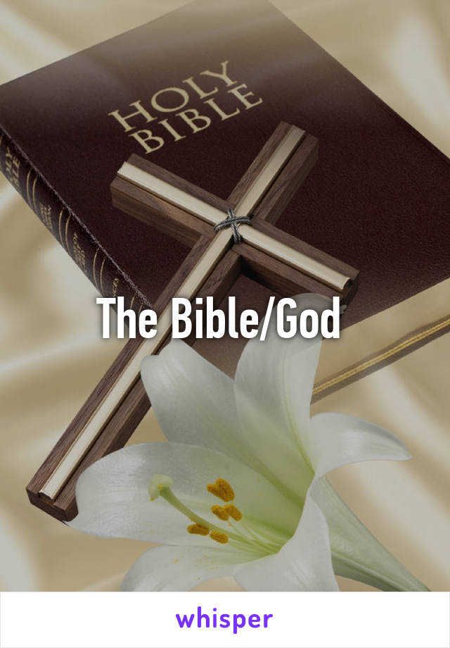 The Bible/God 