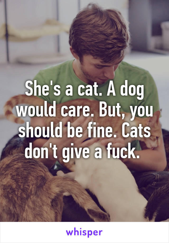 She's a cat. A dog would care. But, you should be fine. Cats don't give a fuck. 