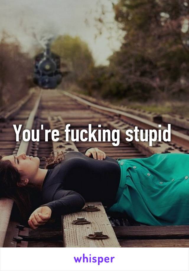 You're fucking stupid 