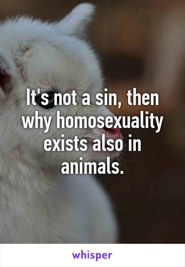 It's not a sin, then why homosexuality exists also in animals.