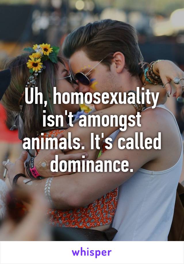 Uh, homosexuality isn't amongst animals. It's called dominance.