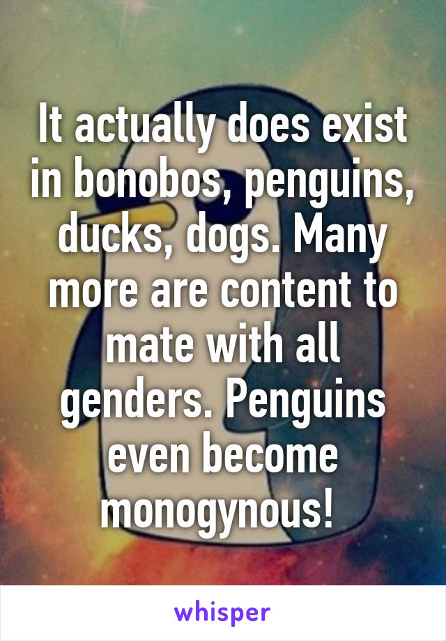 It actually does exist in bonobos, penguins, ducks, dogs. Many more are content to mate with all genders. Penguins even become monogynous! 