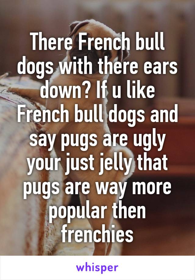 There French bull dogs with there ears down? If u like French bull dogs and say pugs are ugly your just jelly that pugs are way more popular then frenchies