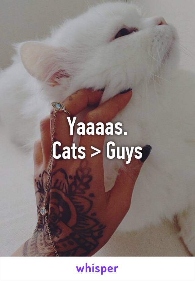 Yaaaas.
Cats > Guys