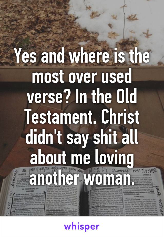 Yes and where is the most over used verse? In the Old Testament. Christ didn't say shit all about me loving another woman.