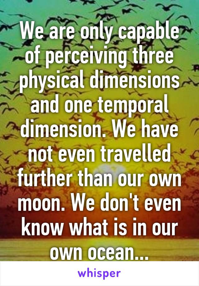 We are only capable of perceiving three physical dimensions and one temporal dimension. We have not even travelled further than our own moon. We don't even know what is in our own ocean...