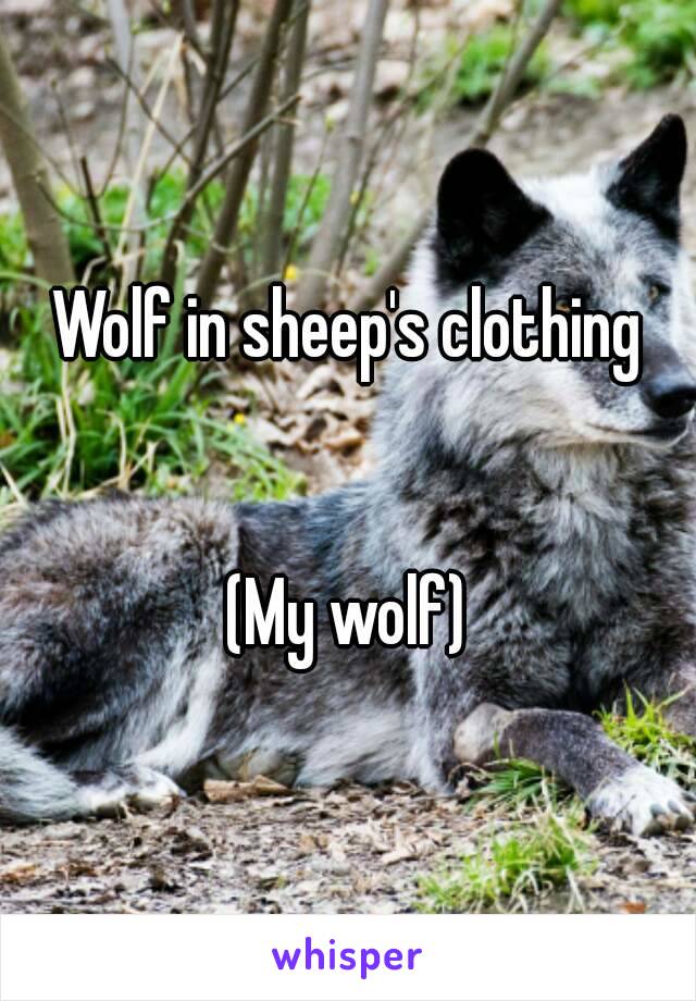 Wolf in sheep's clothing


(My wolf)