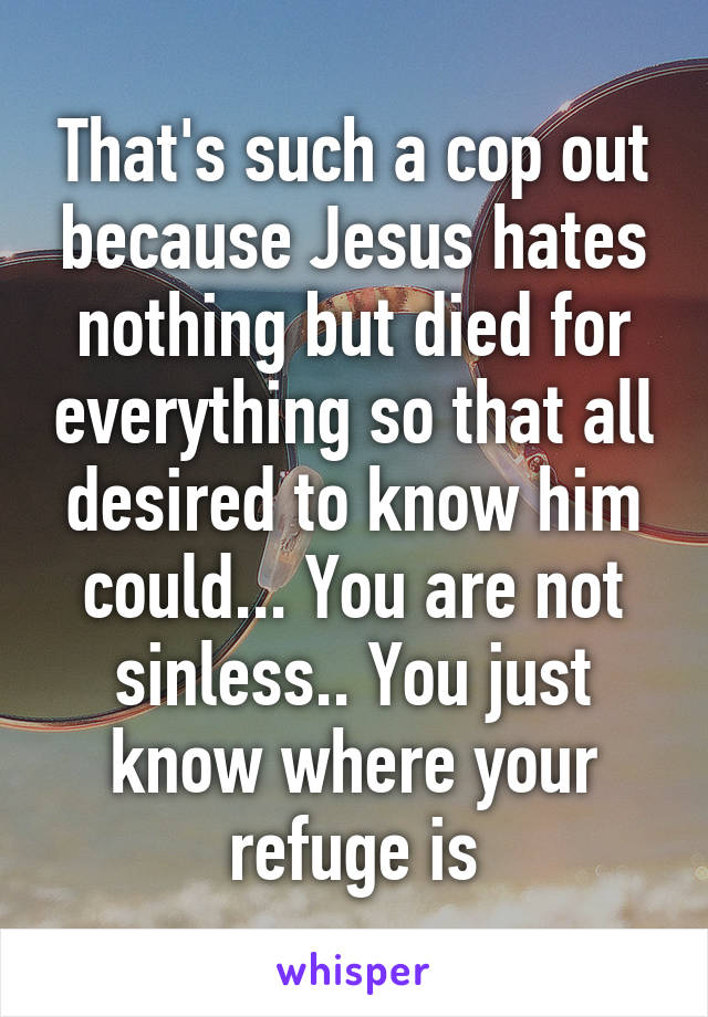 That's such a cop out because Jesus hates nothing but died for everything so that all desired to know him could... You are not sinless.. You just know where your refuge is