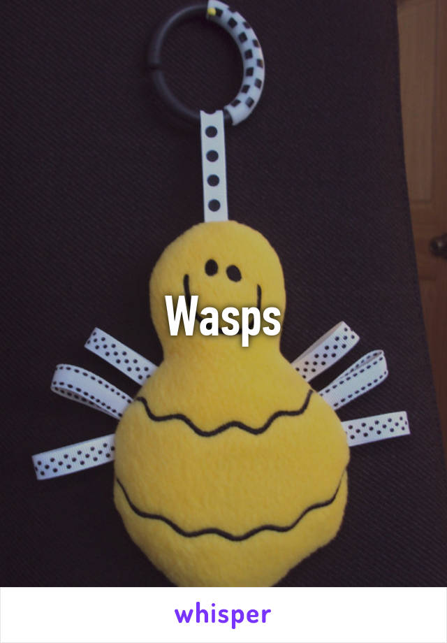 Wasps