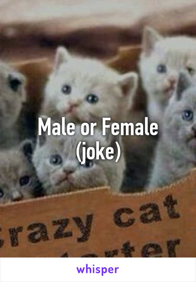 Male or Female
(joke)