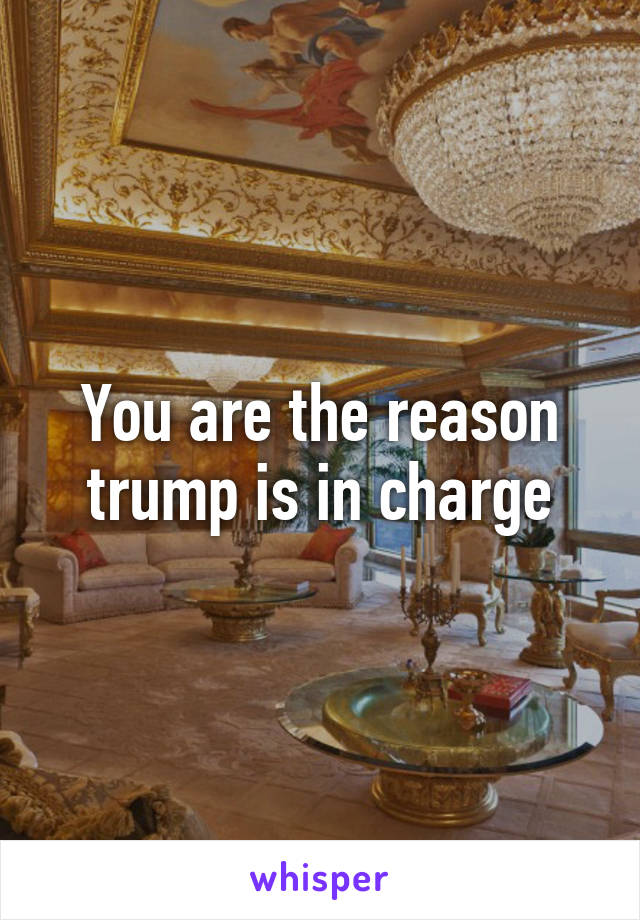 You are the reason trump is in charge