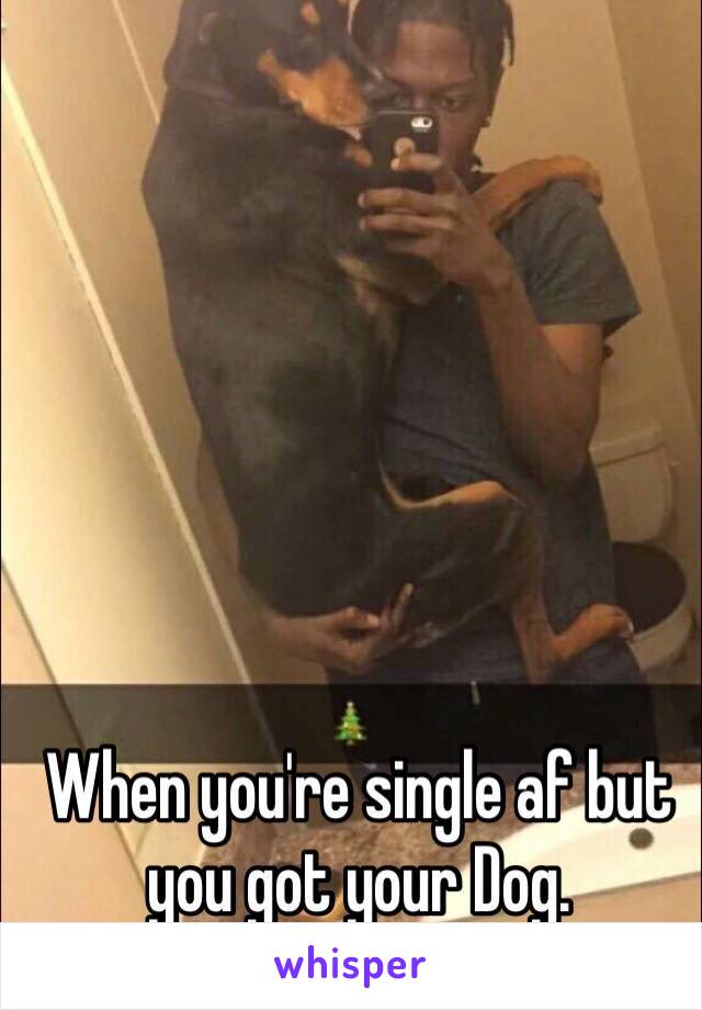 When you're single af but you got your Dog.