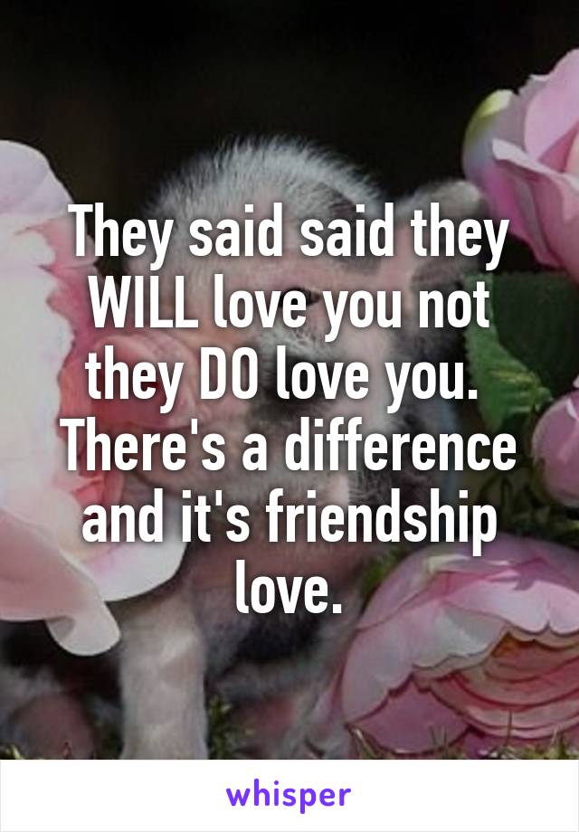 They said said they WILL love you not they DO love you. 
There's a difference and it's friendship love.