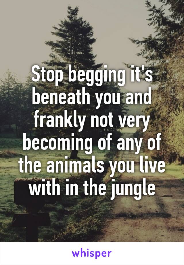 Stop begging it's beneath you and frankly not very becoming of any of the animals you live with in the jungle