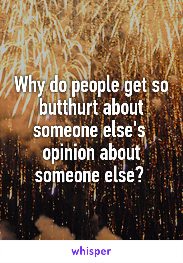 Why do people get so butthurt about someone else's  opinion about someone else? 