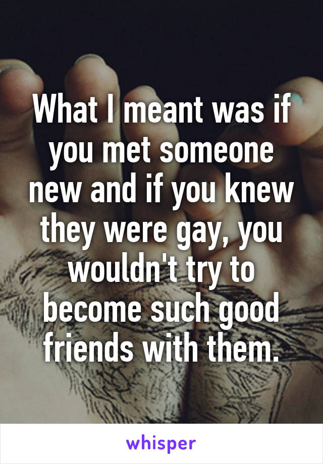 What I meant was if you met someone new and if you knew they were gay, you wouldn't try to become such good friends with them.